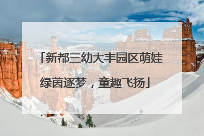 新都三幼大丰园区萌娃绿茵逐梦，童趣飞扬
