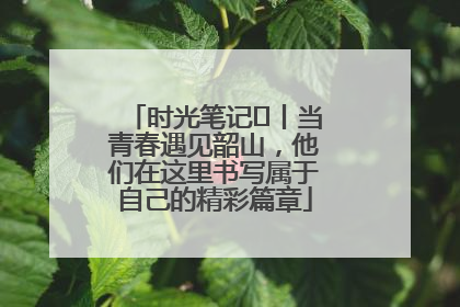 时光笔记⑪丨当青春遇见韶山，他们在这里书写属于自己的精彩篇章