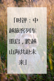 时评：中越旅客列车重启，跨越山海共赴未来