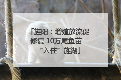 旌阳：增殖放流促修复 10万尾鱼苗“入住”旌湖