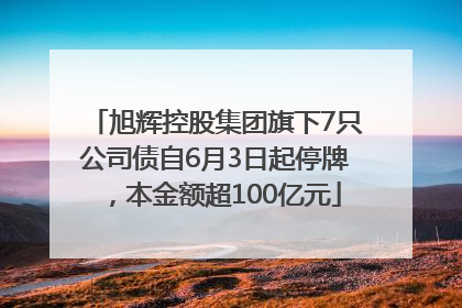 旭辉控股集团旗下7只公司债自6月3日起停牌，本金额超100亿元