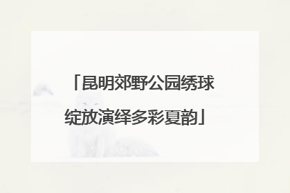 昆明郊野公园绣球绽放演绎多彩夏韵