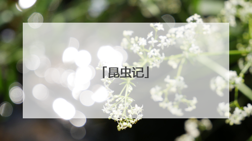 昆虫记