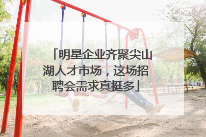 明星企业齐聚尖山湖人才市场，这场招聘会需求真挺多