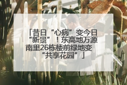 昔日“心病”变今日“新景”！东高地万源南里26栋楼前绿地变“共享花园”