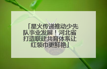 星火传递推动少先队事业发展！河北省打造联建共育体系让红领巾更鲜艳