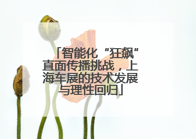 智能化“狂飙”直面传播挑战，上海车展的技术发展与理性回归