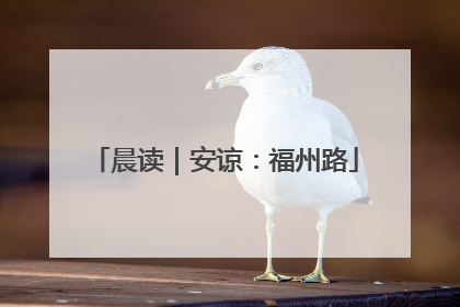 晨读｜安谅：福州路
