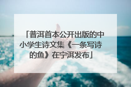 普洱首本公开出版的中小学生诗文集《一条写诗的鱼》在宁洱发布