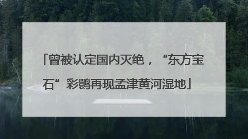 曾被认定国内灭绝，“东方宝石”彩鹮再现孟津黄河湿地