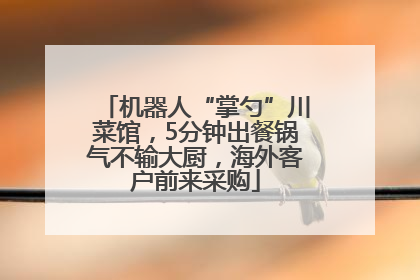 机器人“掌勺”川菜馆，5分钟出餐锅气不输大厨，海外客户前来采购