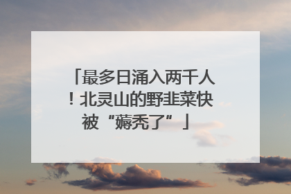 最多日涌入两千人！北灵山的野韭菜快被“薅秃了”