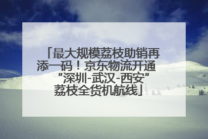 最大规模荔枝助销再添一码！京东物流开通“深圳-武汉-西安” 荔枝全货机航线
