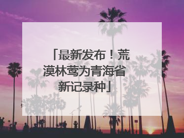 最新发布！荒漠林莺为青海省新记录种