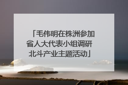 毛伟明在株洲参加省人大代表小组调研北斗产业主题活动