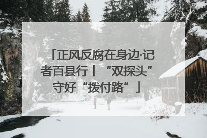 正风反腐在身边·记者百县行丨“双探头”守好“拨付路”