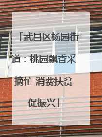 武昌区杨园街道：桃园飘香采摘忙 消费扶贫促振兴