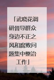 武晓花调研督导群众身边不正之风和腐败问题集中整治工作