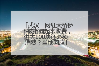 武汉一网红大桥桥下被指圈起来收费，进去100块还必须消费？当地回应