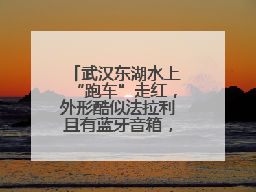 武汉东湖水上“跑车”走红，外形酷似法拉利且有蓝牙音箱，负责人：高峰期一两百人排队