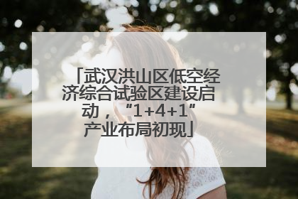 武汉洪山区低空经济综合试验区建设启动，“1+4+1”产业布局初现