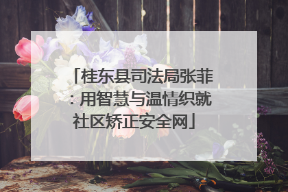 桂东县司法局张菲：用智慧与温情织就社区矫正安全网