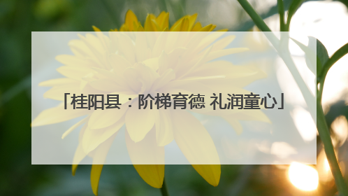 桂阳县：阶梯育德 礼润童心