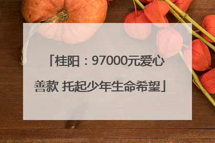 桂阳：97000元爱心善款 托起少年生命希望