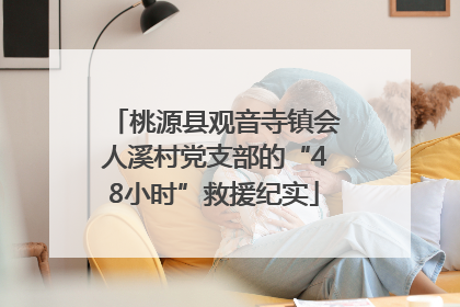 桃源县观音寺镇会人溪村党支部的“48小时”救援纪实