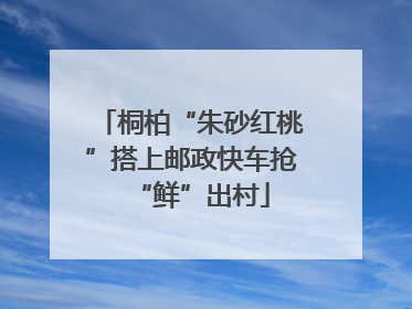 桐柏“朱砂红桃”搭上邮政快车抢“鲜”出村