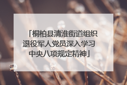 桐柏县清淮街道组织退役军人党员深入学习中央八项规定精神