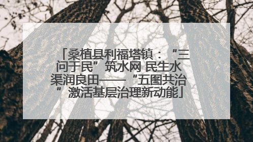 桑植县利福塔镇：“三问于民”筑水网 民生水渠润良田——“五图共治”激活基层治理新动能