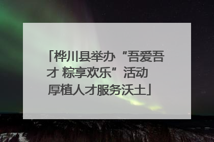 桦川县举办“吾爱吾才 粽享欢乐”活动 厚植人才服务沃土