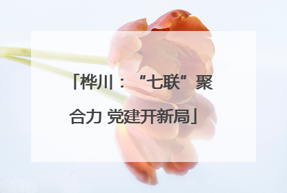 桦川：“七联”聚合力 党建开新局