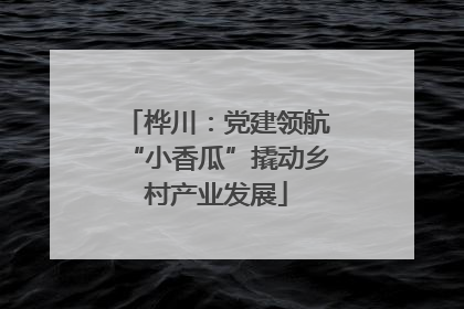 桦川：党建领航“小香瓜”撬动乡村产业发展