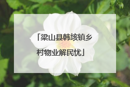 梁山县韩垓镇乡村物业解民忧