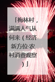 梅林村，满满人气从何来（经济新方位·农村消费观察）