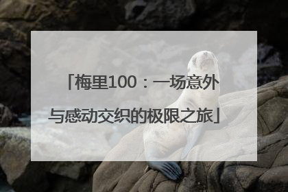 梅里100：一场意外与感动交织的极限之旅