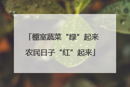 棚室蔬菜“绿”起来 农民日子“红”起来