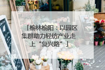 榆林榆阳：以园区集群助力轻纺产业走上“复兴路”