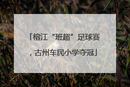榕江“班超”足球赛，古州车民小学夺冠