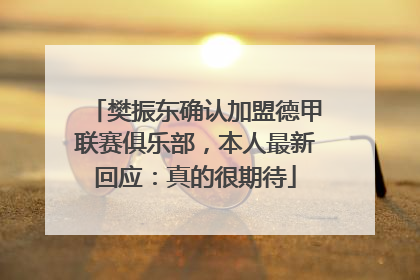 樊振东确认加盟德甲联赛俱乐部，本人最新回应：真的很期待