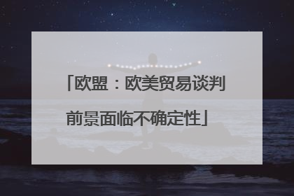 欧盟：欧美贸易谈判前景面临不确定性