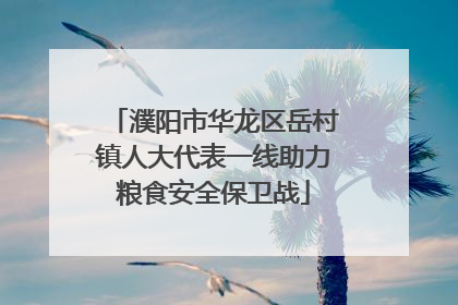 濮阳市华龙区岳村镇人大代表一线助力粮食安全保卫战
