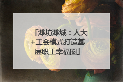 潍坊潍城：人大+工会模式打造基层职工幸福圈