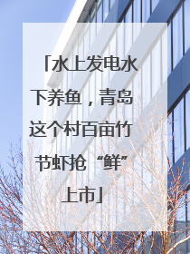 水上发电水下养鱼，青岛这个村百亩竹节虾抢“鲜”上市
