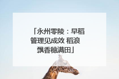 永州零陵：早稻管理见成效 稻浪飘香穗满田