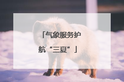 气象服务护航“三夏”