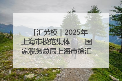汇劳模｜2025年上海市模范集体——国家税务总局上海市徐汇区税务局第一税务所