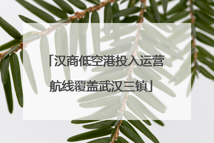 汉商低空港投入运营 航线覆盖武汉三镇